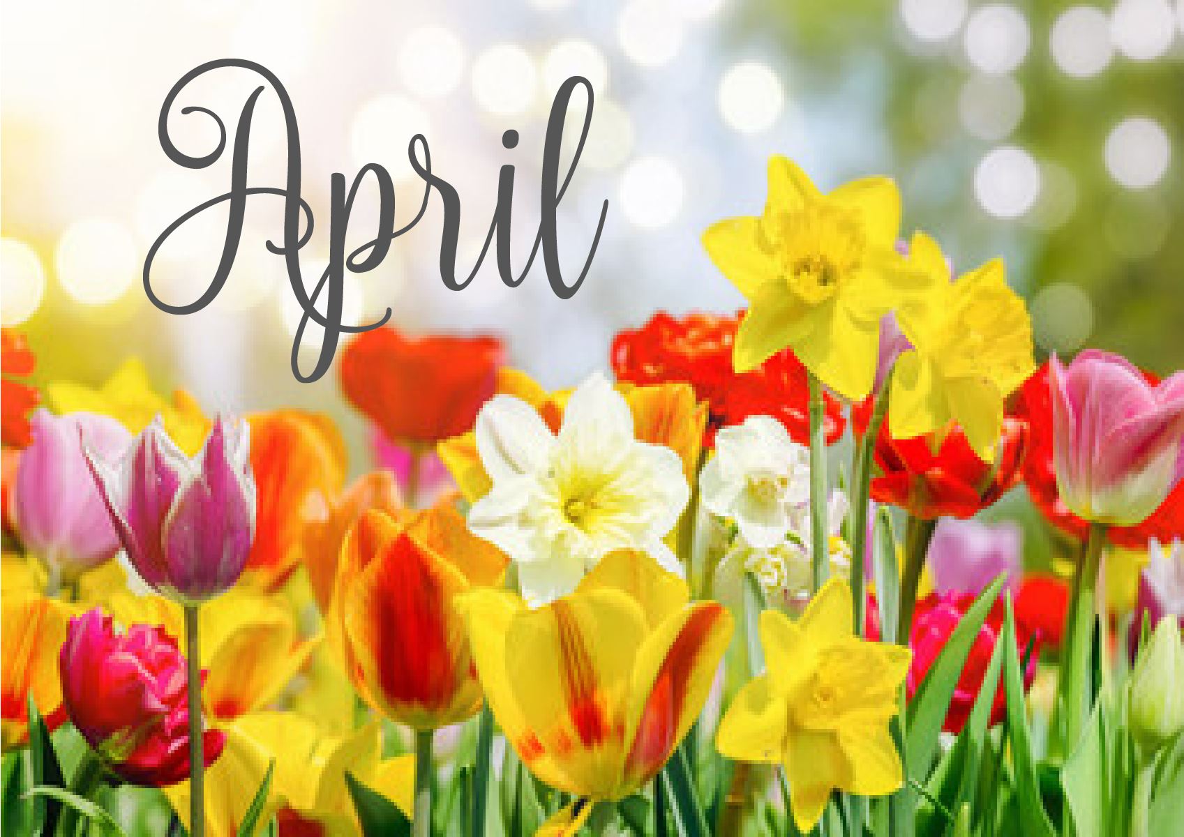 April Spring flowers