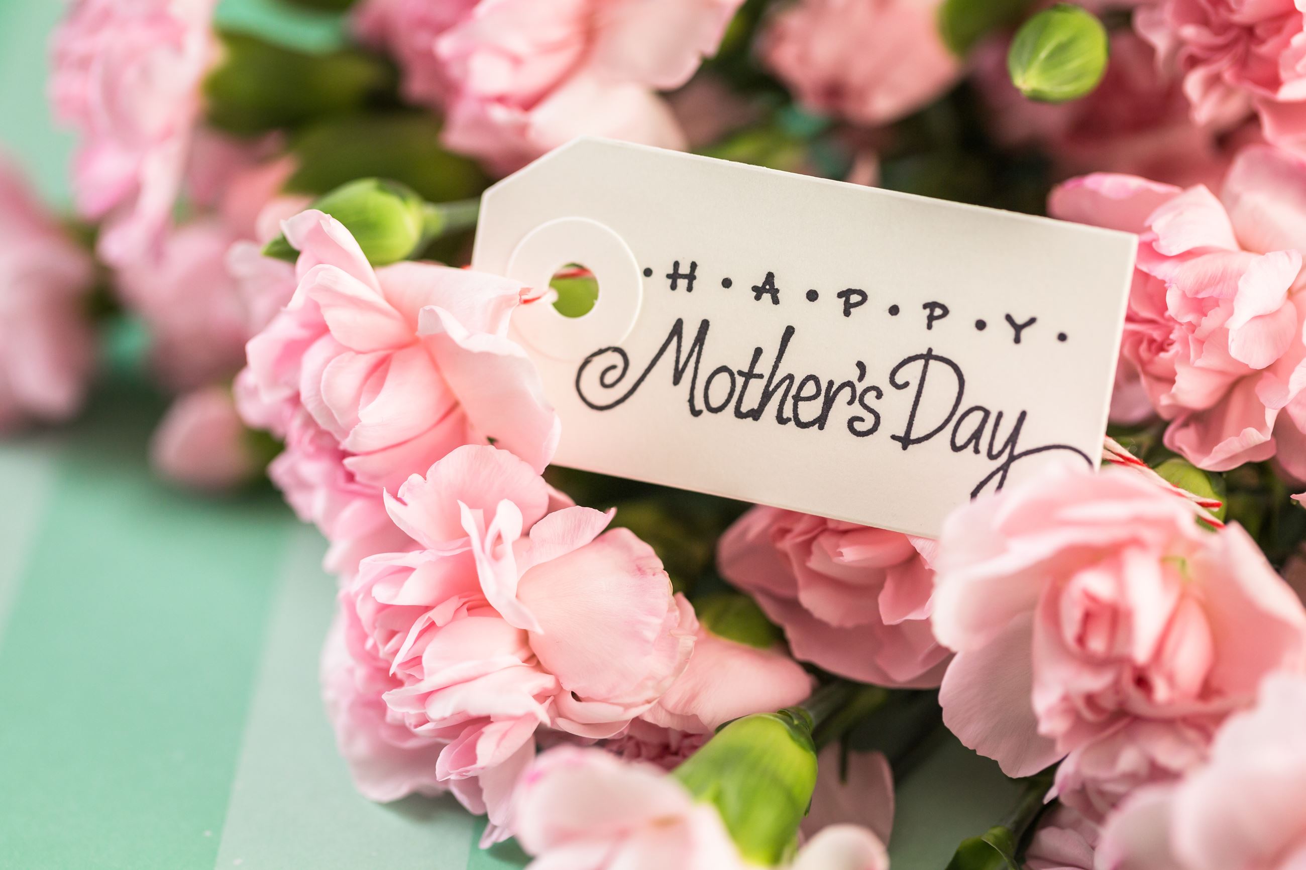 Happy Mothers Day tag with pink roses