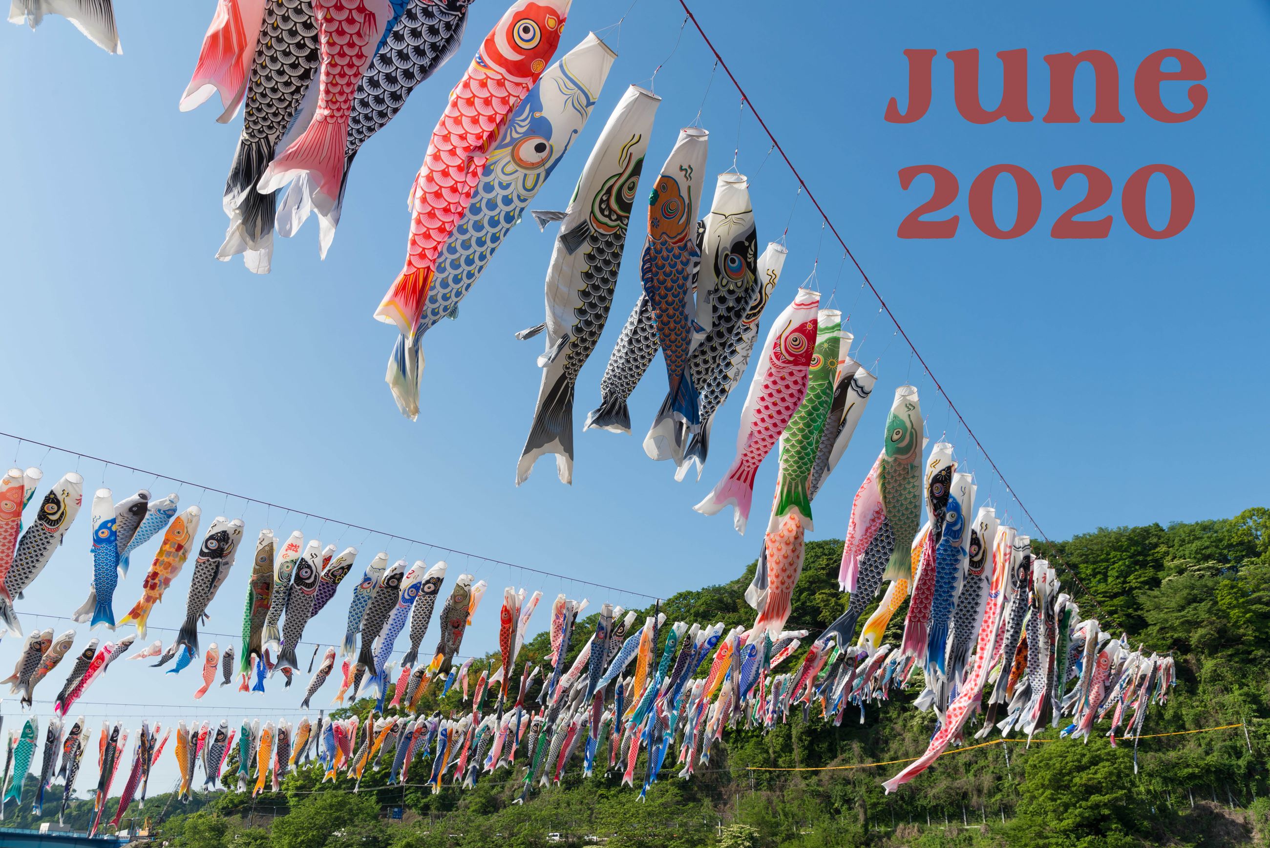 June Gazette Image Fish Flags hanging in lines