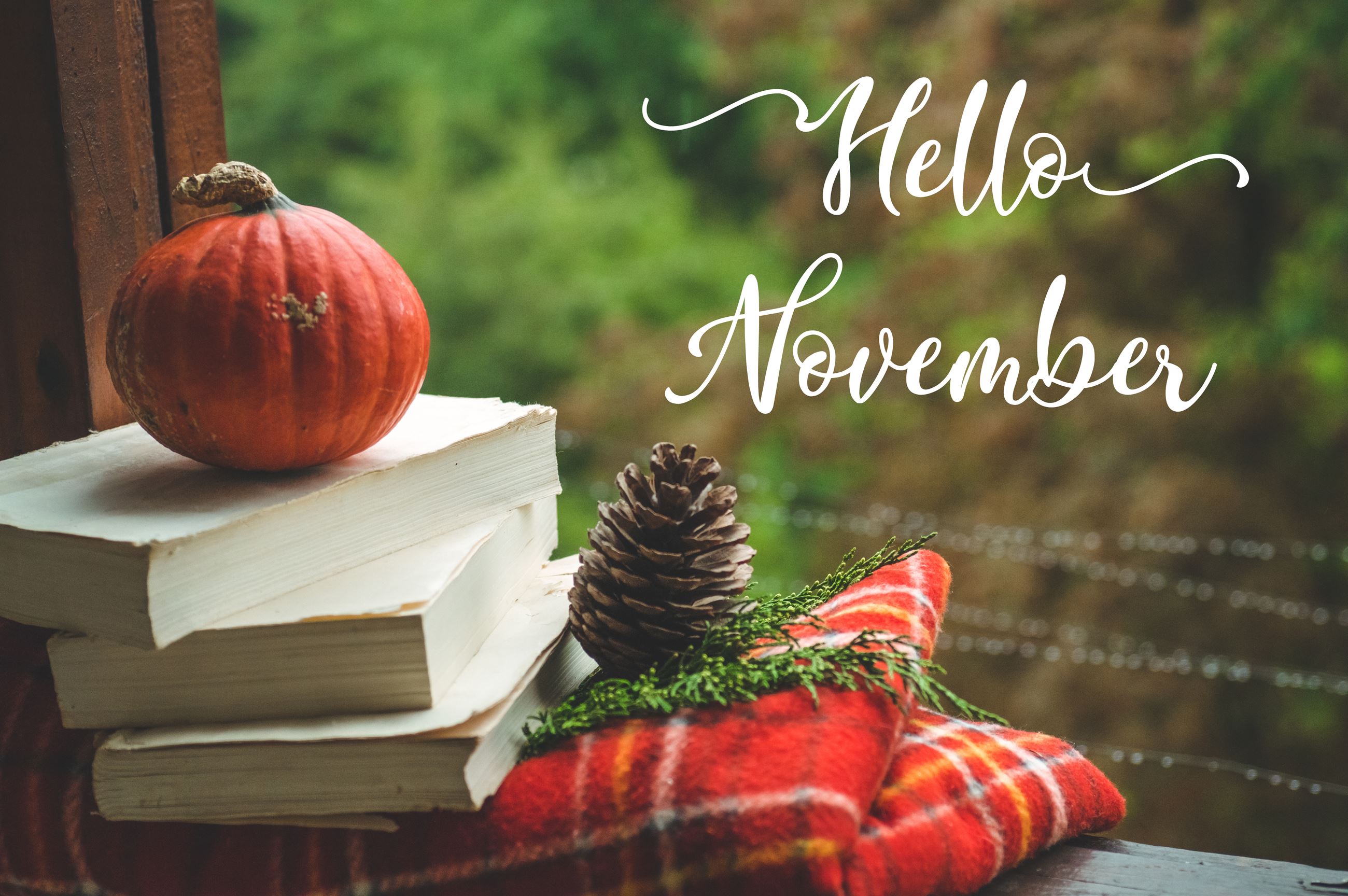 Hello November