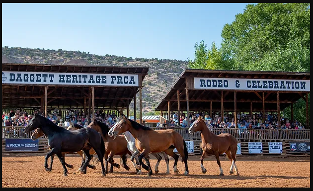 Screenshot 2023-06-20 173249