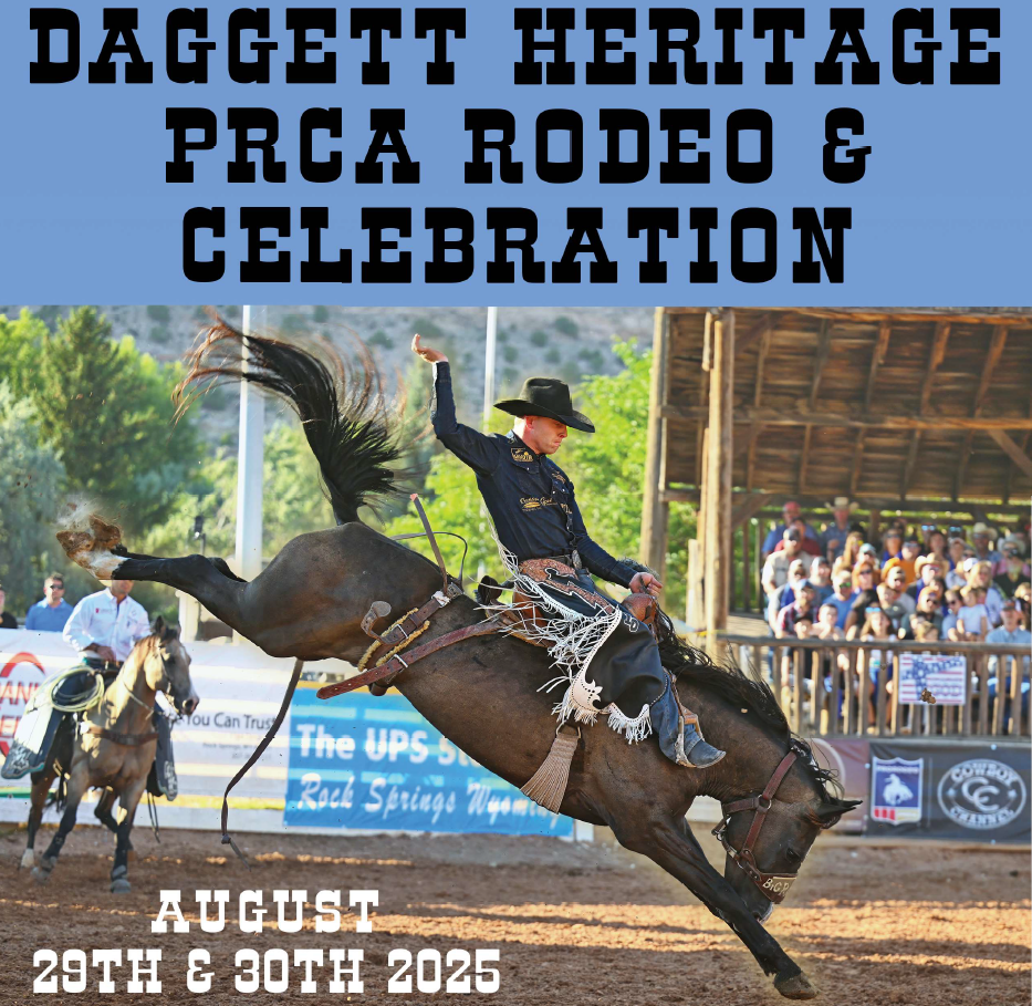 prcaRodeo2025
