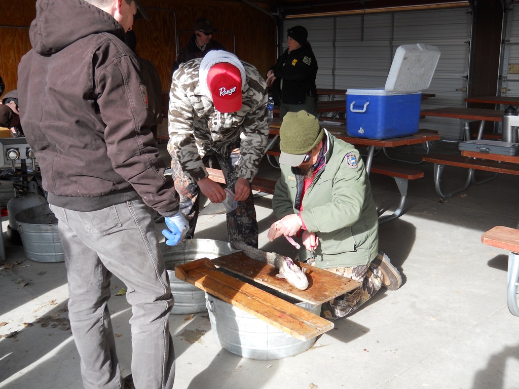 Wyoming Game and Fish and Utah DWR staff inspect burbot at the check-in station prior to the closing ceremonies of the 2012 Burbot Bash