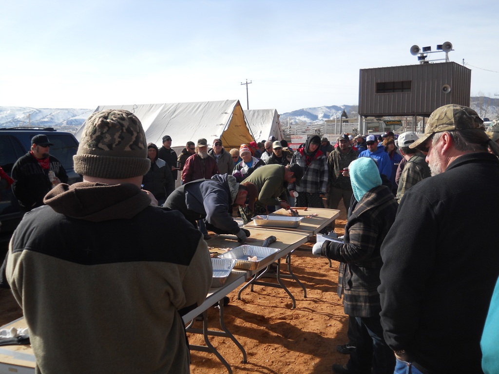 Participants in the process of filleting burbot during the Filet Contest at the closing ceremonies of the 2012 Burbot Bash