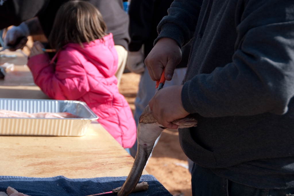 Pliers are often used to pull the skin back on a burbot so it can be filleted.  One contestant show s us how.