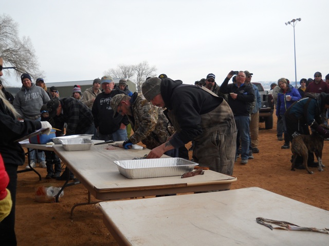 Photo of several Filet Contest participants fileting burbot during the Closing Ceremonies of the 2013 Burbot Bash.