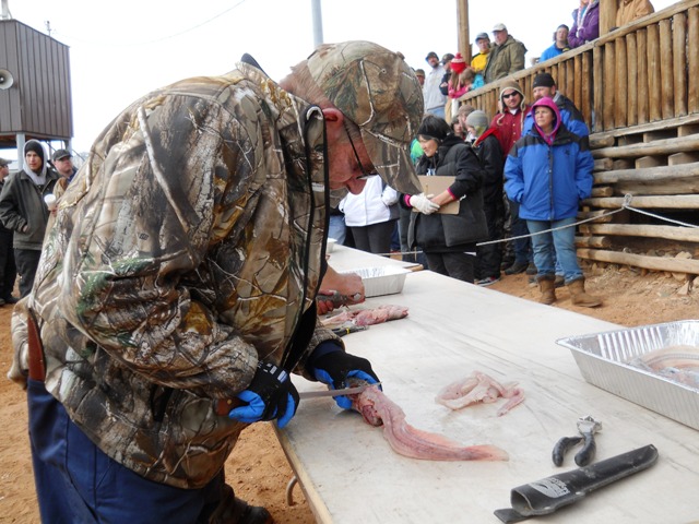 Photo of a Filet Contest participant fileting a burbot during the Closing Ceremonies of the 2013 Burbot Bash