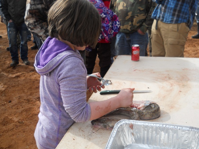 Photo of the youngest participant fileting a burbot during the Filet Contest at the Closing Ceremonies for the 2013 Burbot Bash.