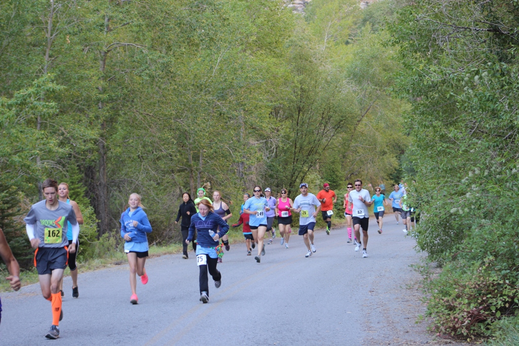 Runners on the course - 2013 Tower Rock Run