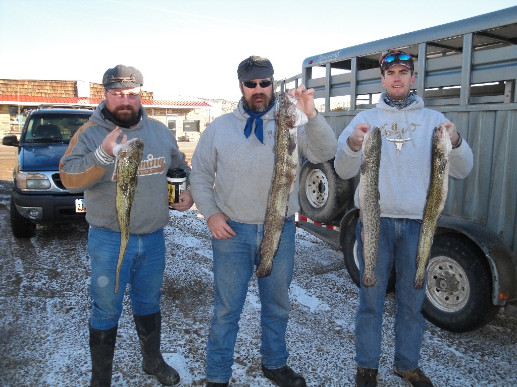 Members of Team Asay display their 4 largest Burbot caught during the 2011 Burbot Bash